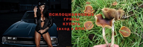 стафф Абдулино