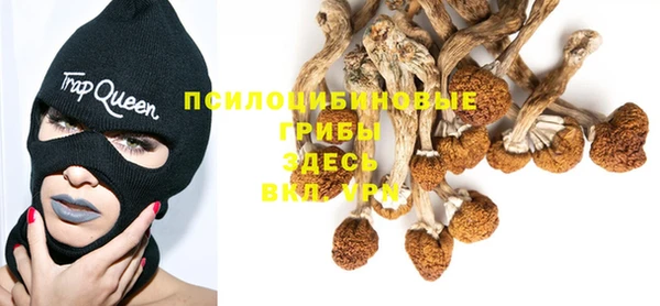 стафф Абдулино