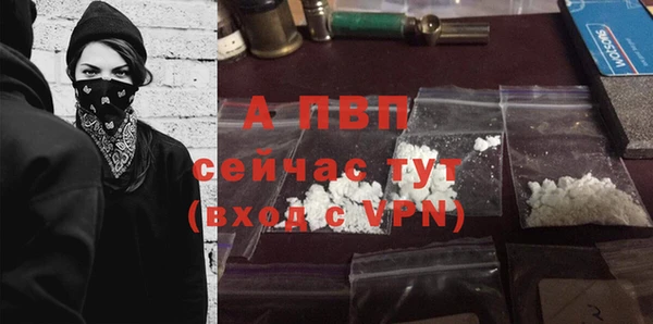 соль ск Абаза
