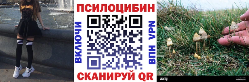 omg сайт  Ряжск  Псилоцибиновые грибы MAGIC MUSHROOMS  где купить наркоту 
